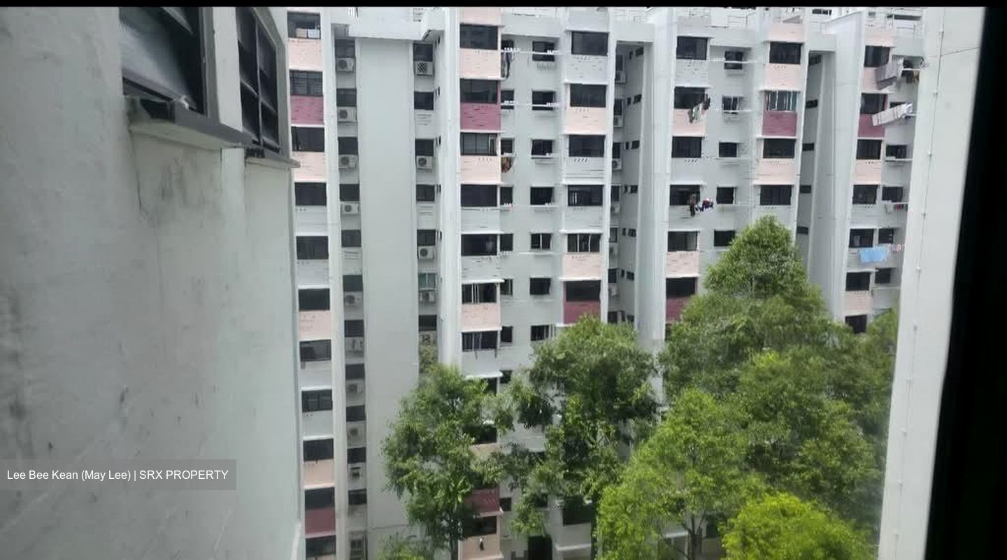 Blk 62 BLANGAH GARDEN (Bukit Merah), HDB 3 Rooms #532780291